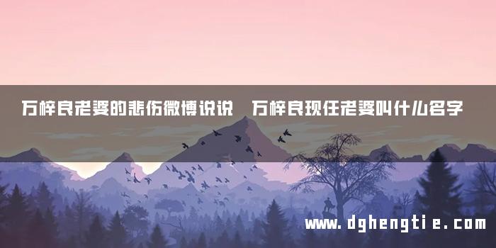万梓良老婆的悲伤微博说说 万梓良现任老婆叫什么名字